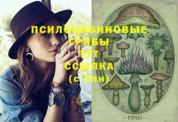 шишки Богородицк