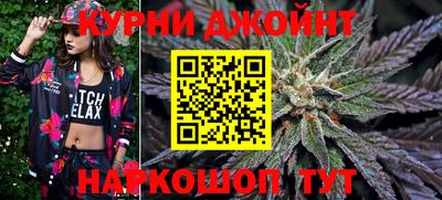 меф Гатчина