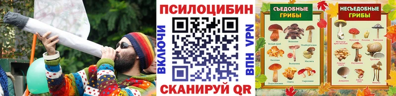 закладка Минеральные Воды kraken онион Псилоцибиновые грибы MAGIC MUSHROOMS